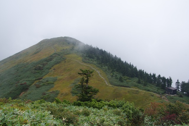 s-IMGP0555
