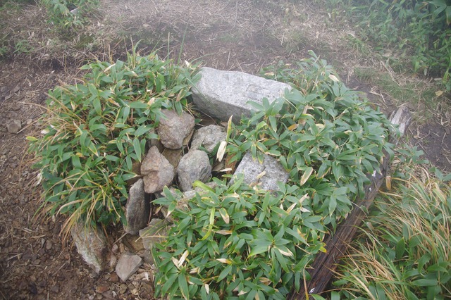 s-IMGP0537