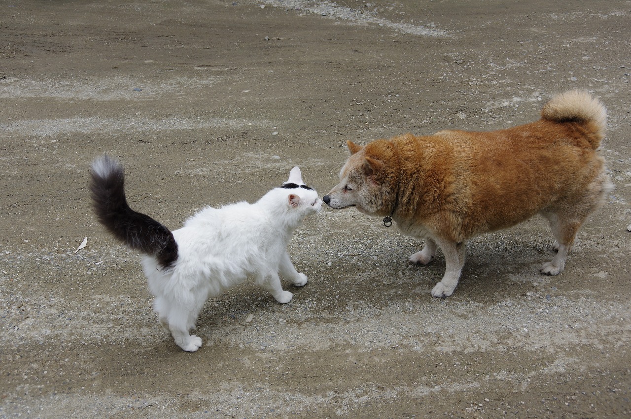 花はなの里 その１ すべての山に情熱を