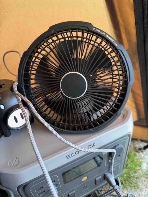 IMG_4299