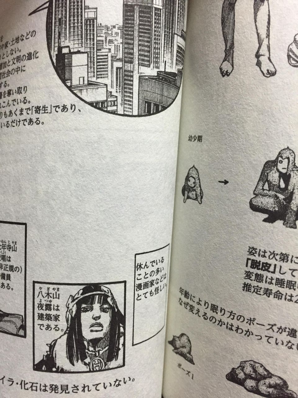 ジョジョ 富樫 ジョジョリオンに出てくる岩人間だった ジョジョチャンネル ジョジョ 富樫 ジョジョリオンに出てくる岩人間だった ジョジョチャンネル