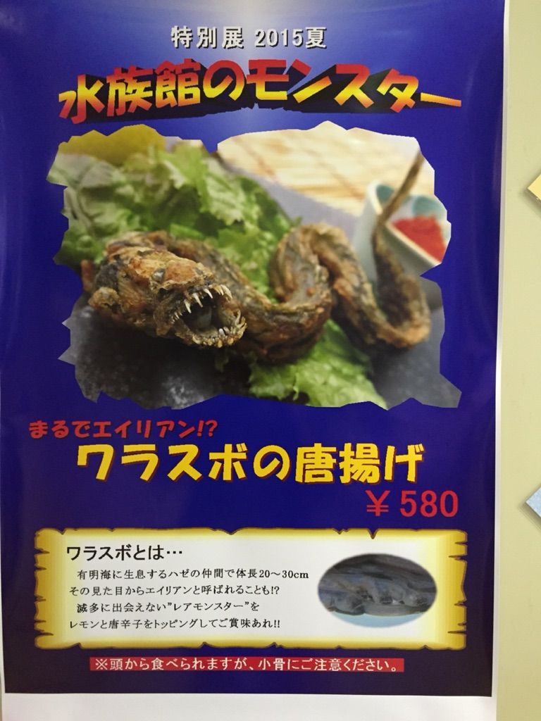 ワラスボの唐揚げ食べてみた 法学部生が語る生き物の世界 ワラスボの唐揚げ食べてみた 法学部生が語る生き物の世界