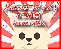 CKKnWE1gGmtJ7MR1651102588_1651104592