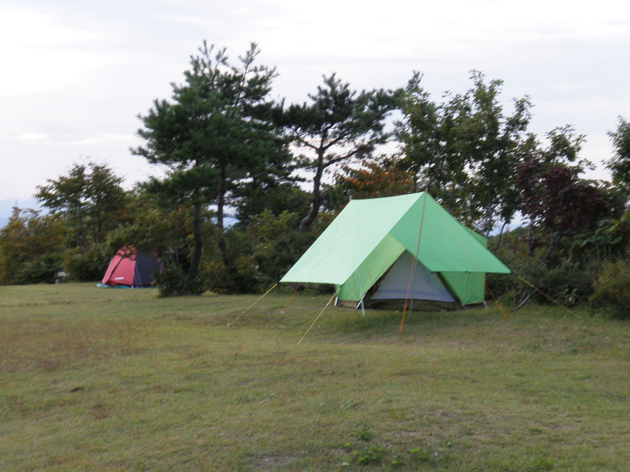 背あぶり山キャンプ場 康のblog