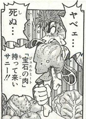 トリコ食事シーン１１巻７ トリコの治療１ トリコの食事シーン