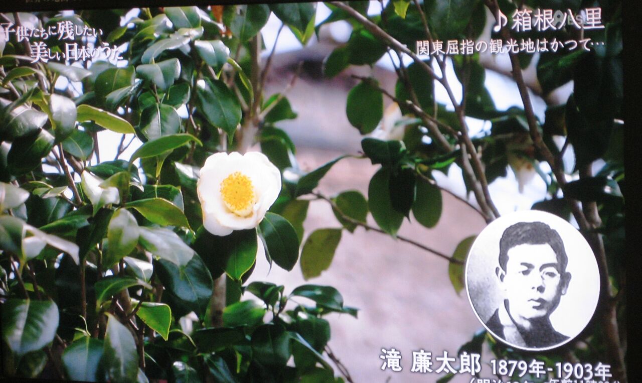 閑居老人の週末 利七屋孫兵衛の日記 閑居老人の週末 利七屋孫兵衛の日記