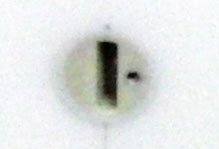 230125x2