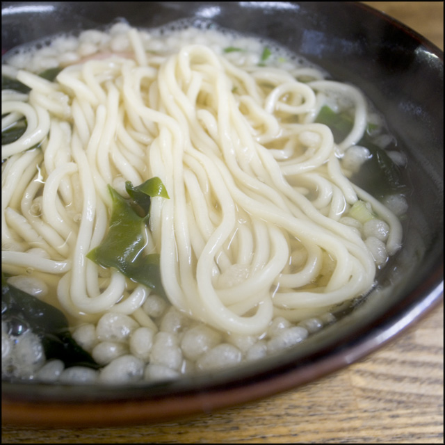 photo0019
