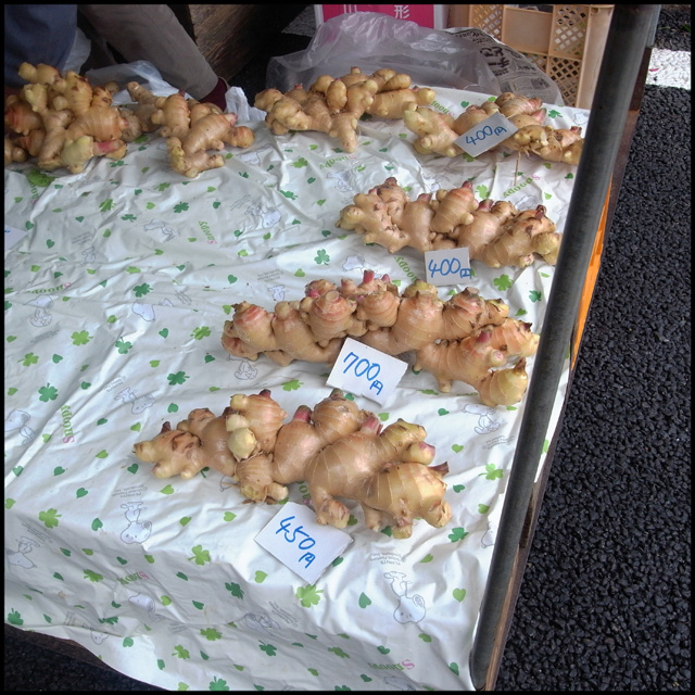 photo008