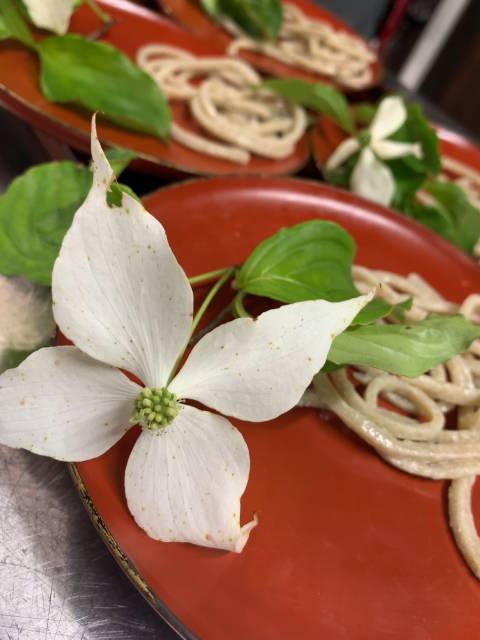 ヤマボウシの花言葉は 友情 噛めば噛むほど味のある そんな友に なりたいですね 艶と華の２店舗 手打ちそば繁盛記