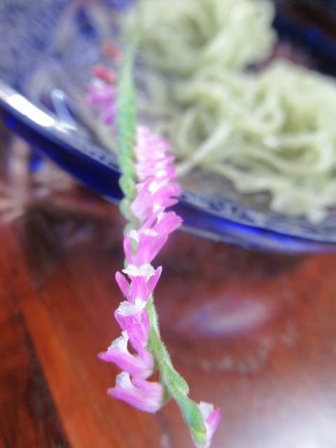壱のそば 香りそば ネジバナ 花言葉は 思慕 思い慕うこと 恋しく思うこと 芝付の 御宇良崎なる 根都古草 逢ひ見ずあらば 吾恋ひめやも そば打ち甲子園 安田道場 壱のそば 香りそば ネジバナ 花言葉は 思慕 思い慕うこと 恋しく思うこと 芝付の 御宇良崎なる 根都古草 逢ひ見ずあらば 吾恋ひめやも そば打ち甲子園 安田道場