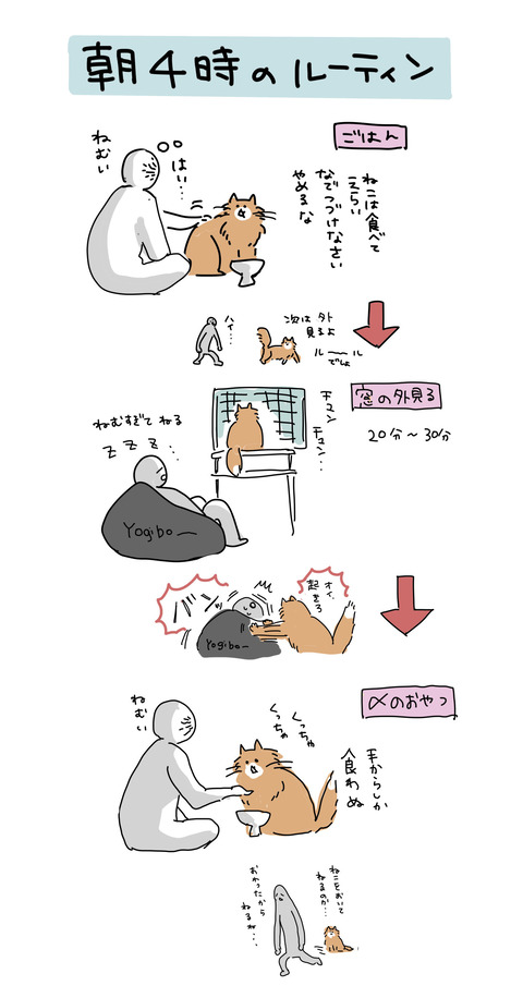 neko260509
