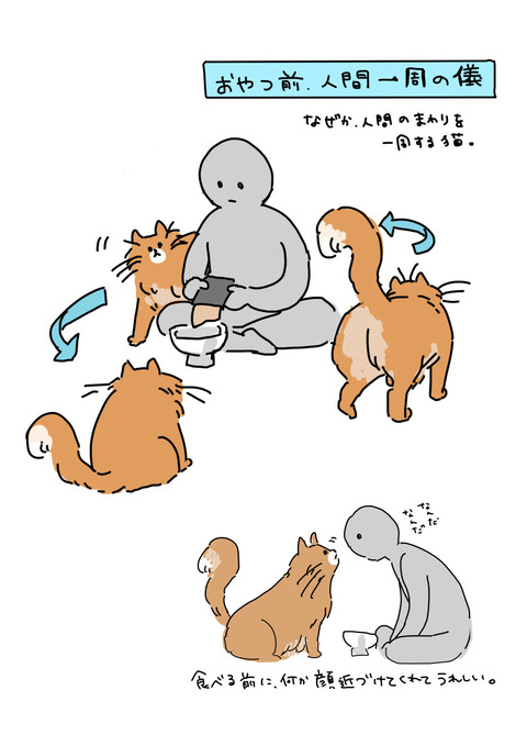 neko260519