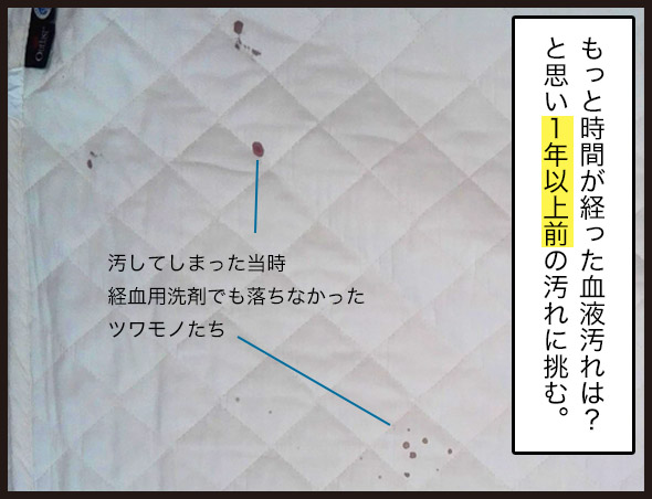 時間が経った血液汚れを落とす方法 ダンナ様は安月給 Powered By ライブドアブログ