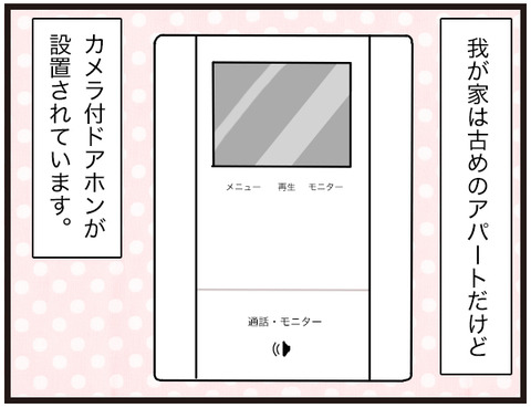 訪問者