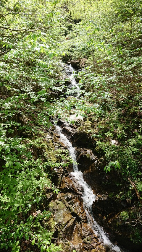 DSC_8024