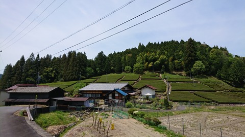 DSC_8092
