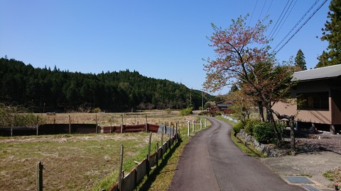 DSC_7580
