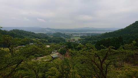 DSC_1319