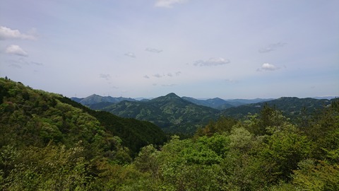 DSC_8038