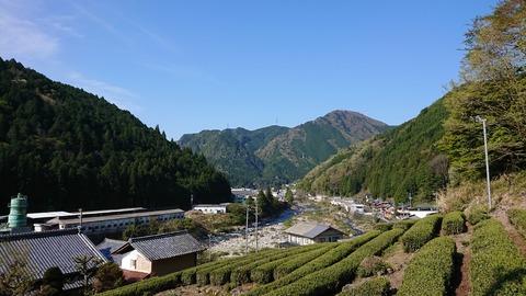 DSC_7524