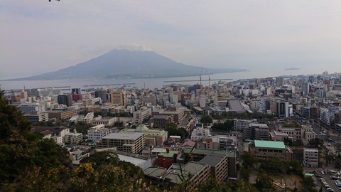 DSC_0320