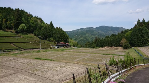 DSC_8090