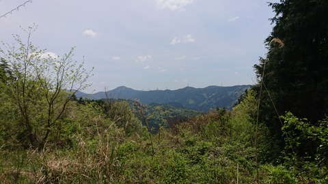 DSC_8076