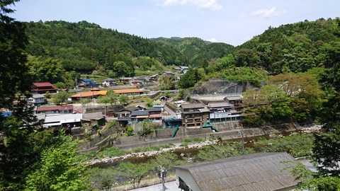 DSC_8100