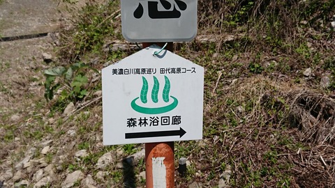 DSC_7617