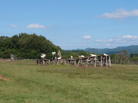 DSC_9435