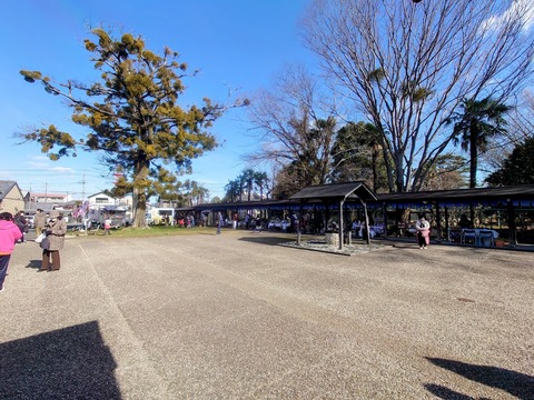 DSC_2286~2