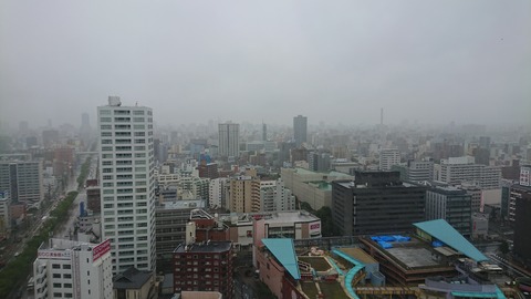 DSC_1474