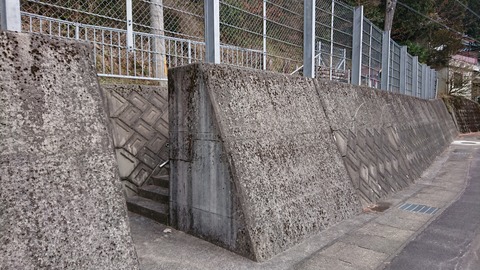 DSC_6008