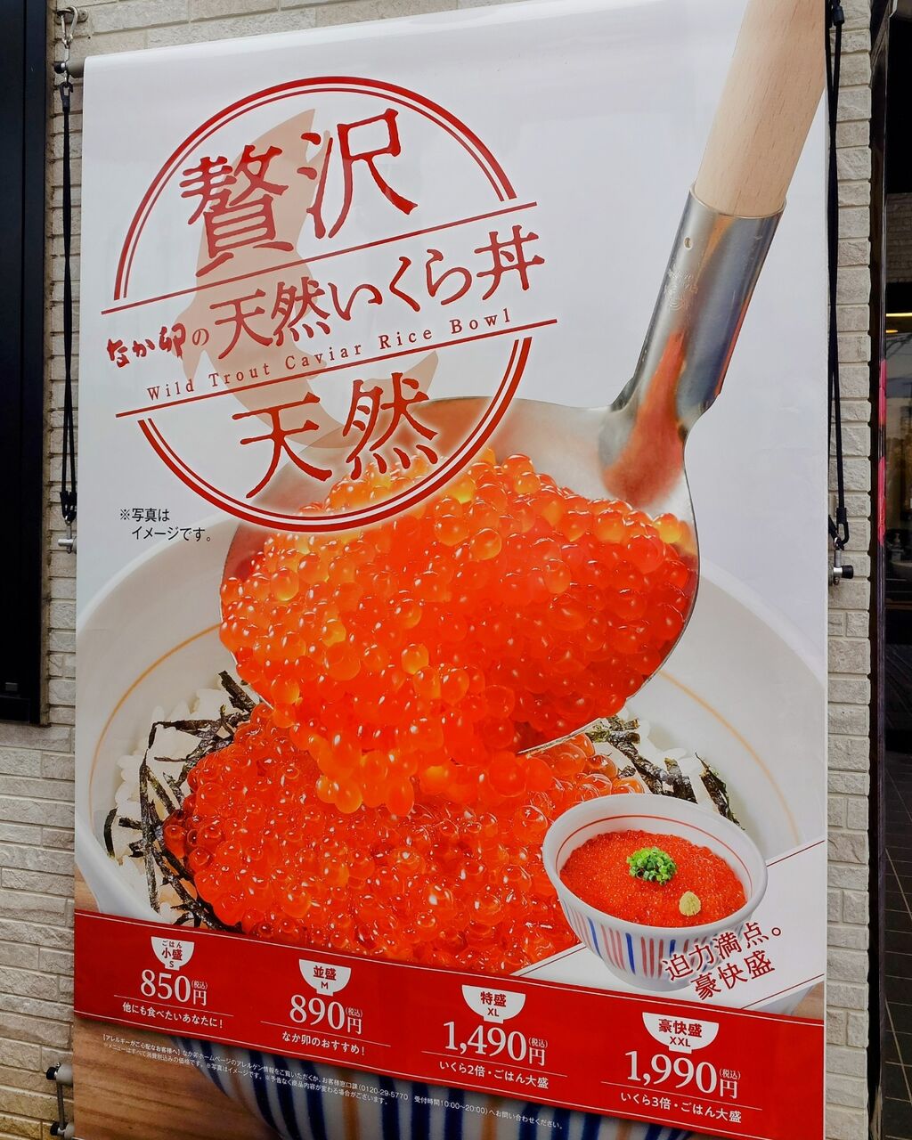 なか卯 どんぶり 和風 陶器 丼