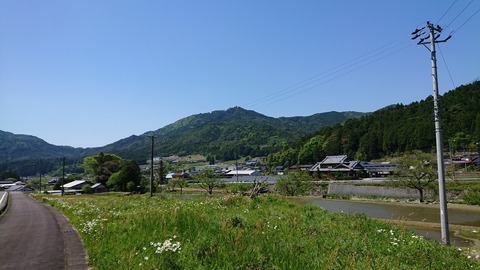 DSC_8381