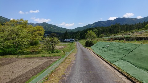 DSC_8329