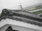 R0030274