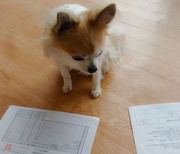 LINE_ALBUM_2024320_240320_3_edited