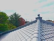 260801142542986[1]