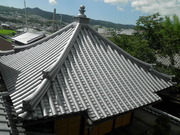 RIMG0787