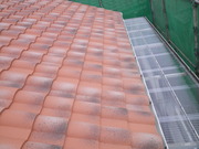 RIMG2142