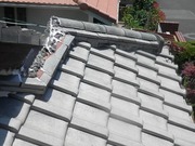R0030612 (2)