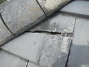 R0020650