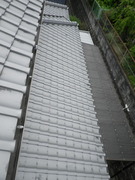 R0022009