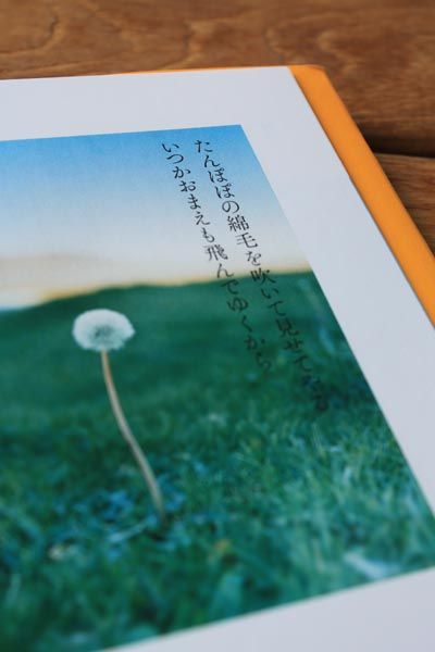 たんぽぽの日々 Nokana 日記 たんぽぽの日々 Nokana 日記