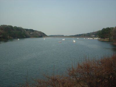 飯能レイクサイドパーク宮沢湖 埼玉県飯能市 なかよしトレイン 走るパークトレイン 飯能レイクサイドパーク宮沢湖 埼玉県飯能市 なかよしトレイン 走るパークトレイン