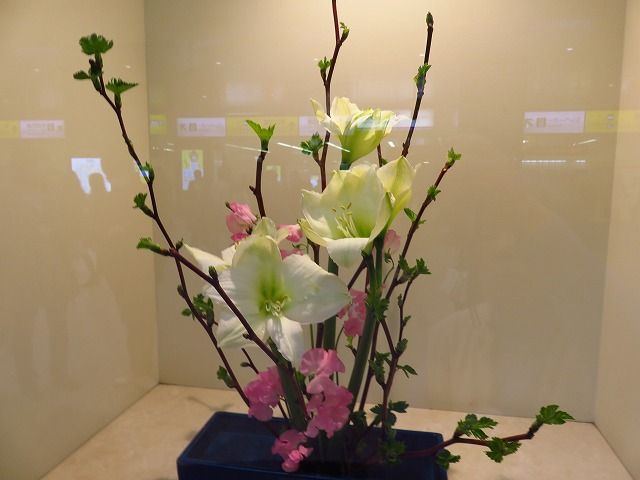 活花展と西洋紫陽花 私の散歩道