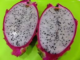 �ɥ饴��ե롼�� (2)