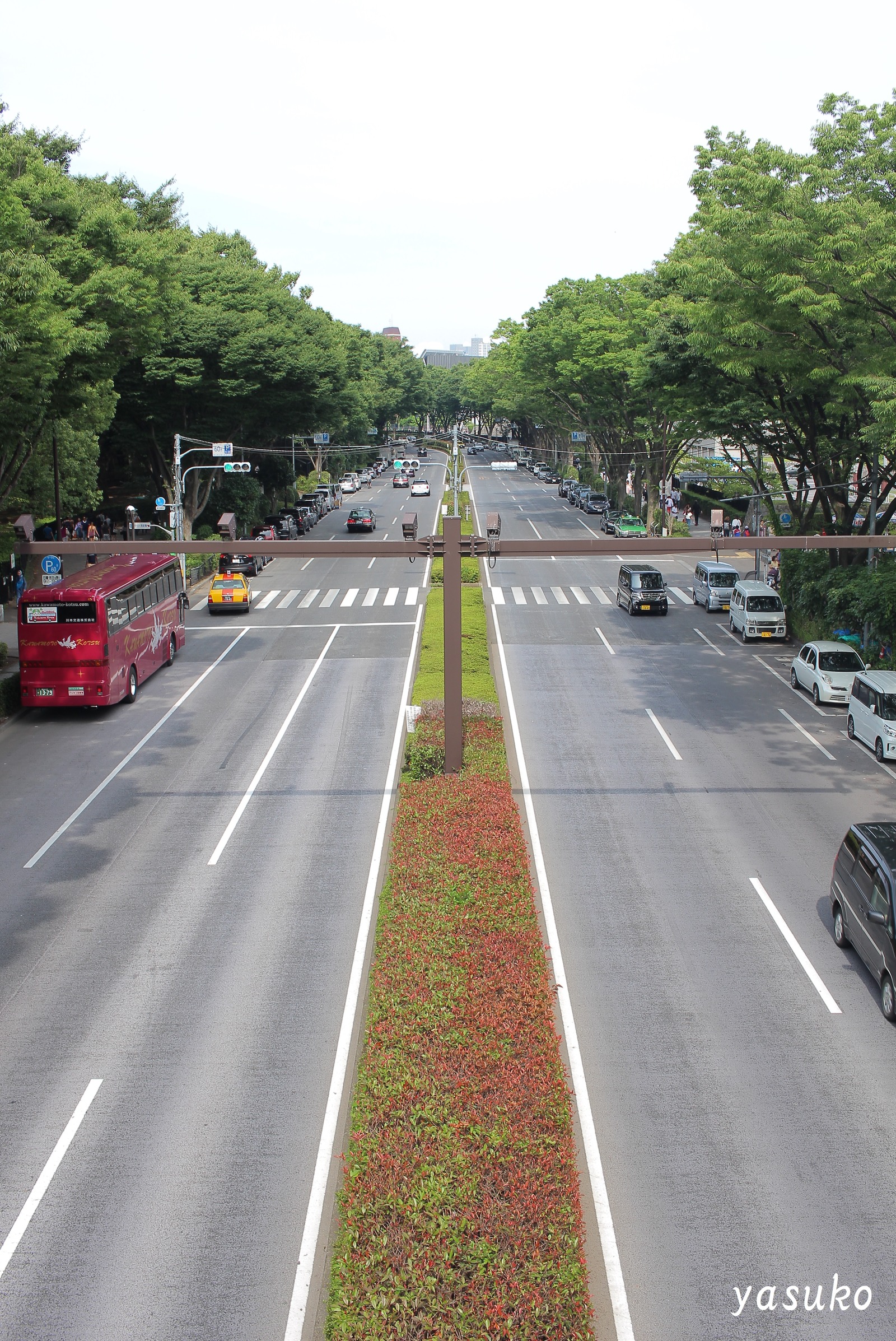 歩道橋より